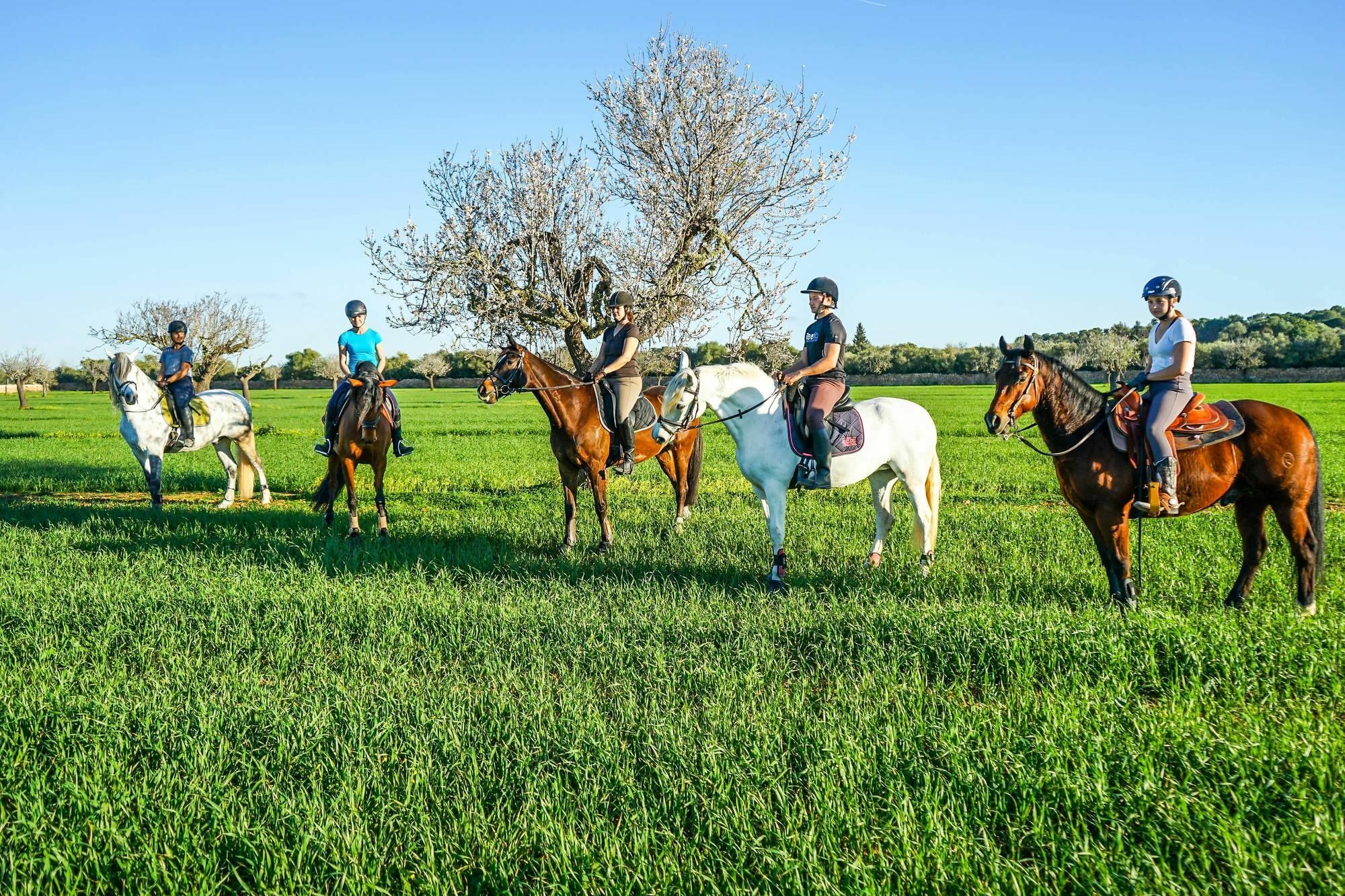 Vmg Horse Ranch (Adults Only) Villa Llucmajor  Eksteriør bilde